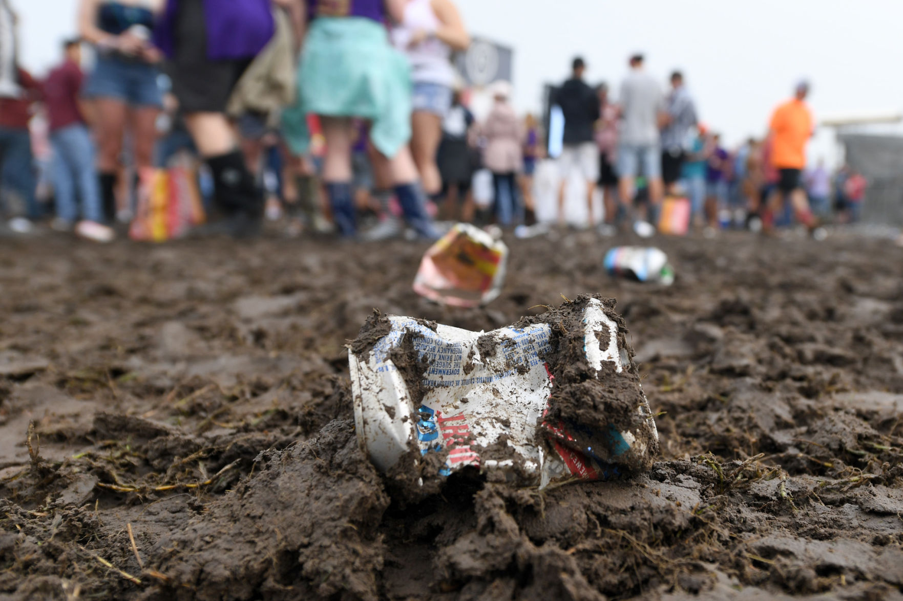 Chilifest 2019